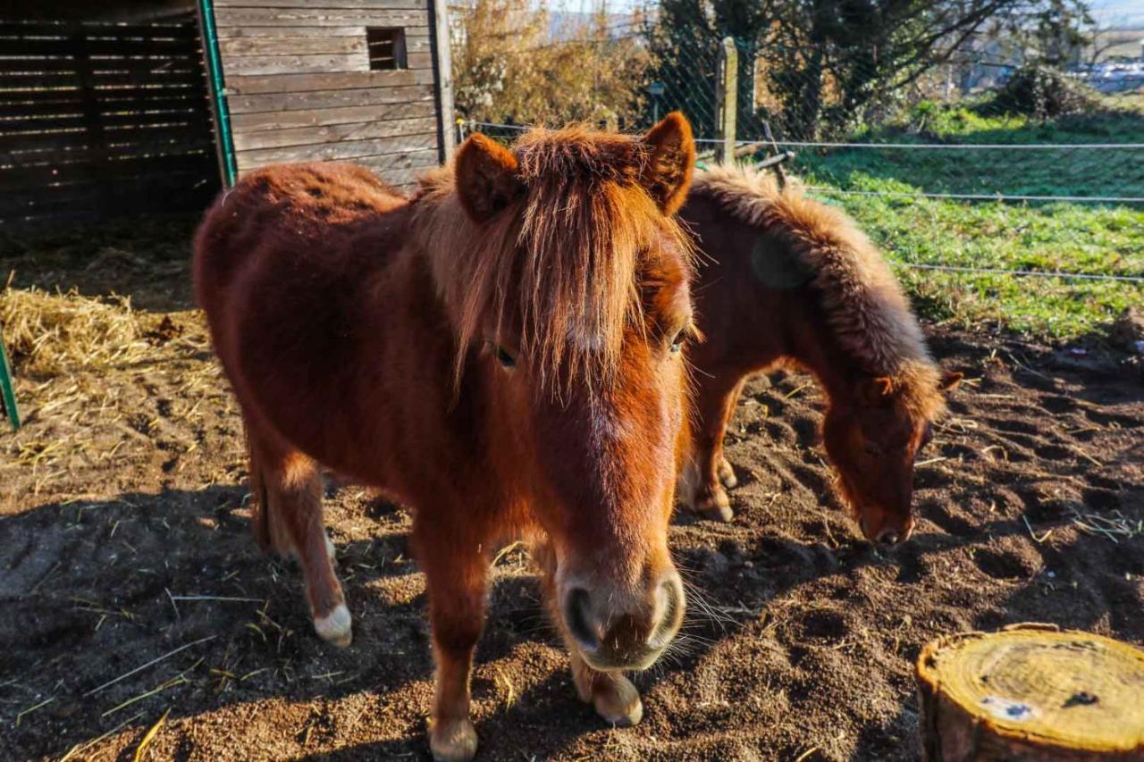 La Melazza Séjour à la ferme Rome