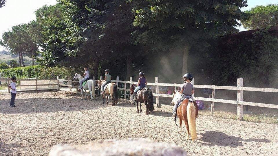 La Melazza Alloggio per agriturismo *